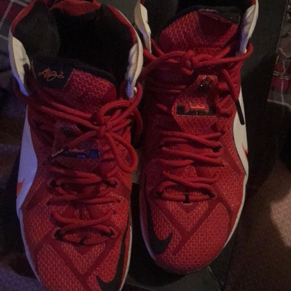 Lebron 12 heart of the lions - Picture 2 of 3